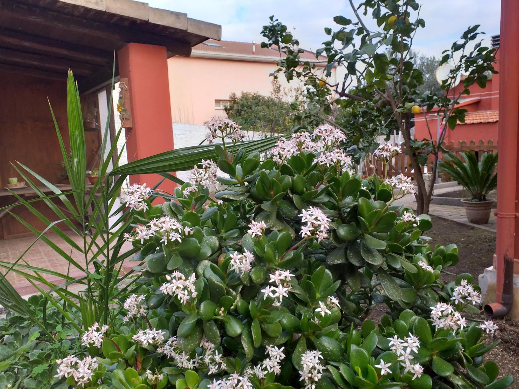Appartamento I Due Ciuchini Sardinia Sassari Esterno foto